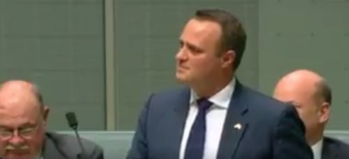 Australian member of parliament Tim Wilson proposes to his partner, Ryan, as the House of Representatives debates legalizing same-sex marriage.