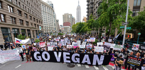 SEPTEMBER 2 2017: More than 1000 animal rights activists gathered for a rally & march for animal rights in Manhattan SEPTEMBER 2 2017: More than 1000 animal rights activists gathered for a rally & march for animal rights in Manhattan