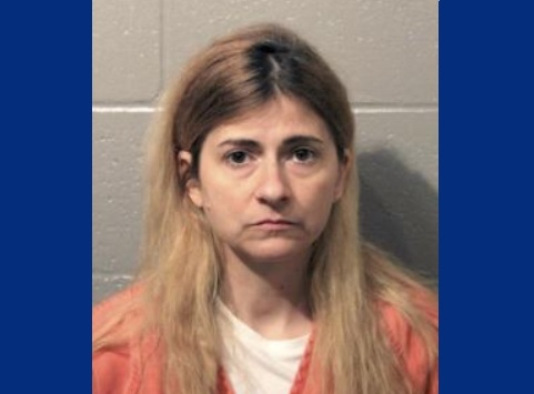 Allison Christine Johnson's mugshot