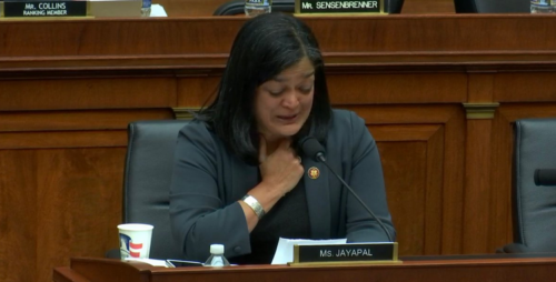 Democratic Rep. Primila Jayapal Democratic Rep. Primila Jayapal