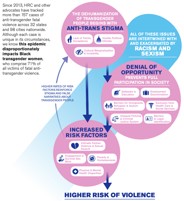 The Human Rights Campaign's infographic explaining how systemic oppression results in higher rates of violence for trans and non-binary people.