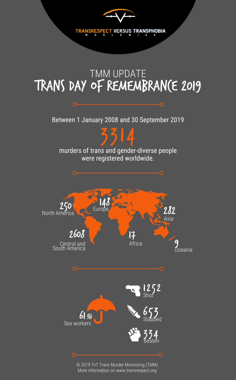 TvT's infographic shows the number of transgender murders from 2008 to 2019.