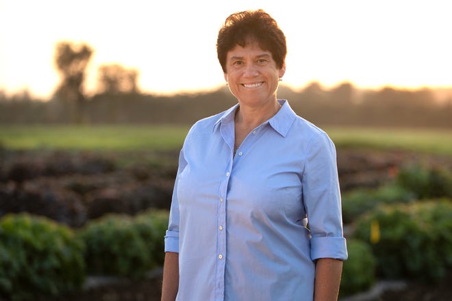 Democratic Candidate For New York District 23, Tracy Mitrano
