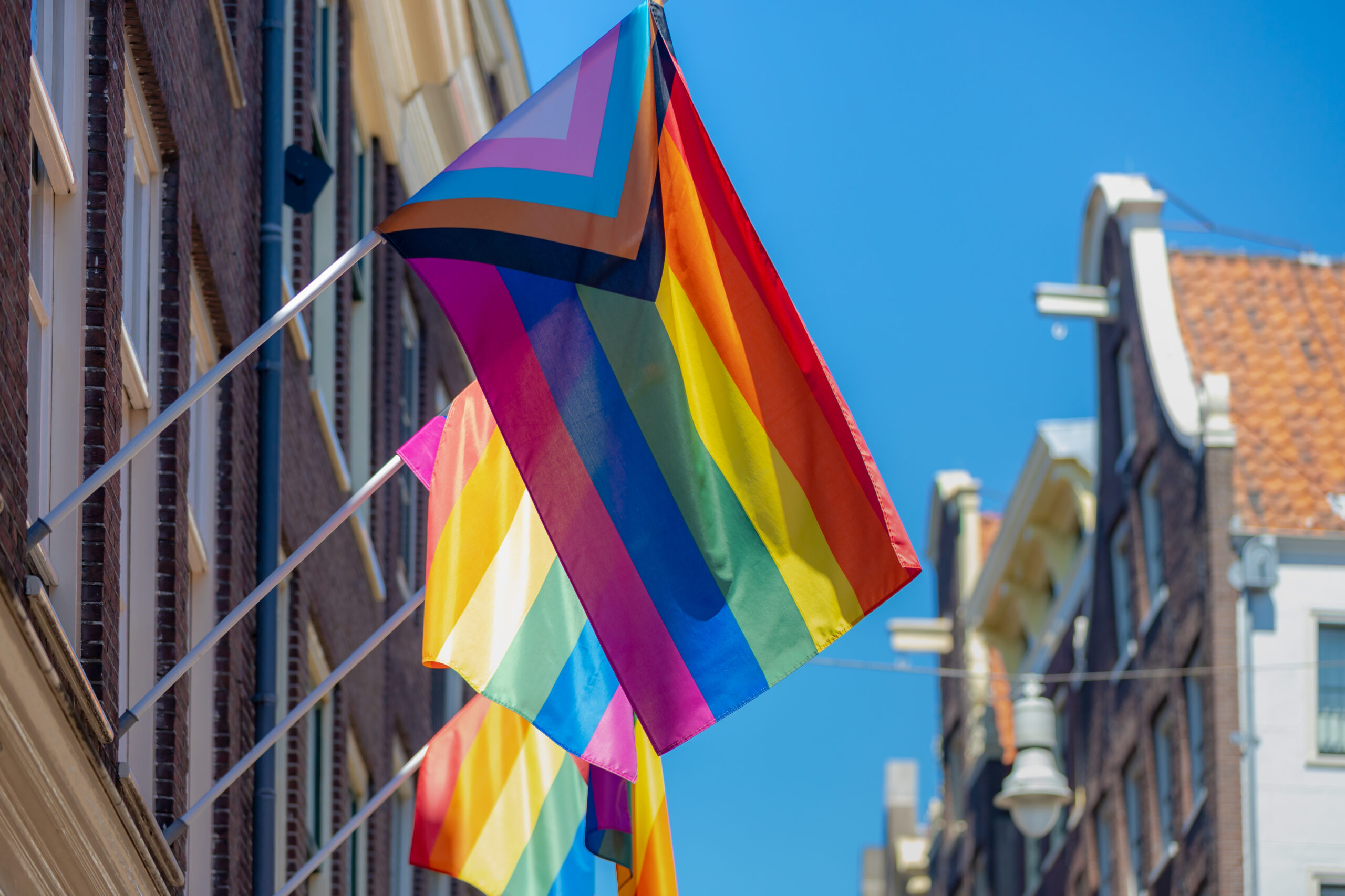 10 Hand Wave Flags Intersex Inclusive Progress Pride Flag 2021 Redesigned To Better Represent