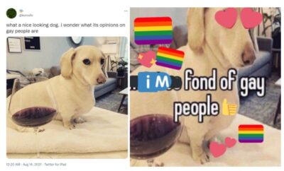 The meme showing Whitney now likes gay people