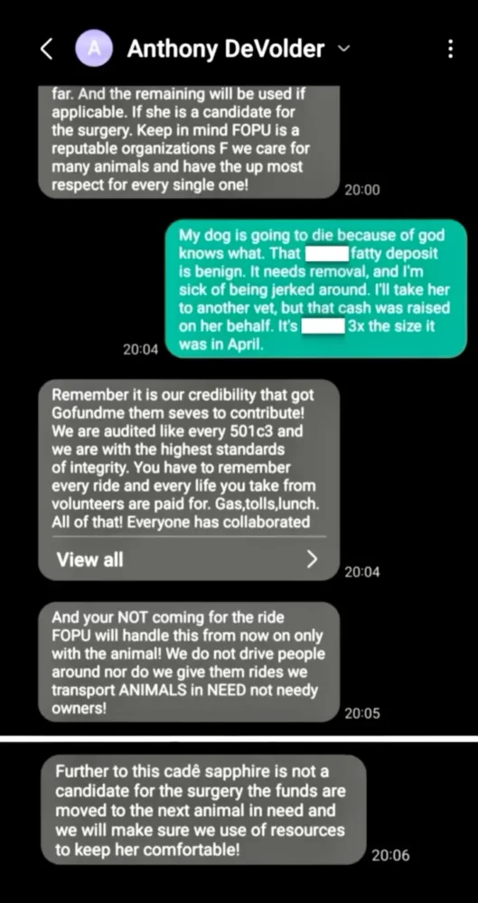 Screenshots of texts sent by George Santos to Rich Osthoff, via Patch