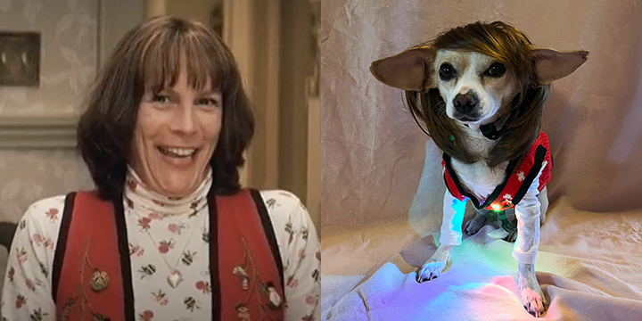 Jamie Lee Curtis/Dog