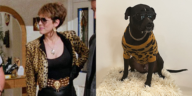 Jamie Lee Curtis/Dog