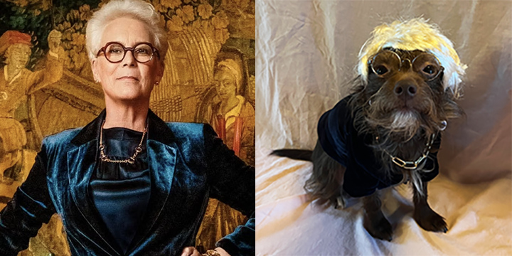 Jamie Lee Curtis/Dog